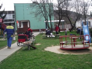 DSCF2195