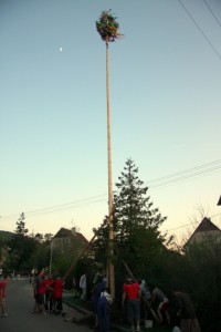 Stavanie maja Opatova nad Vahom 30.4 (8)