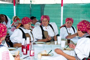 30te vyrocie dychovej hudby Opatovanka (87)
