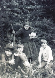Babka zelinkárka