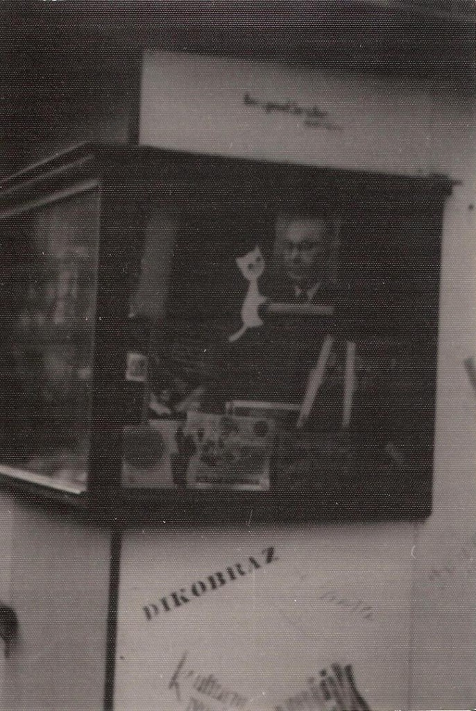 Kocúr Luhačovice