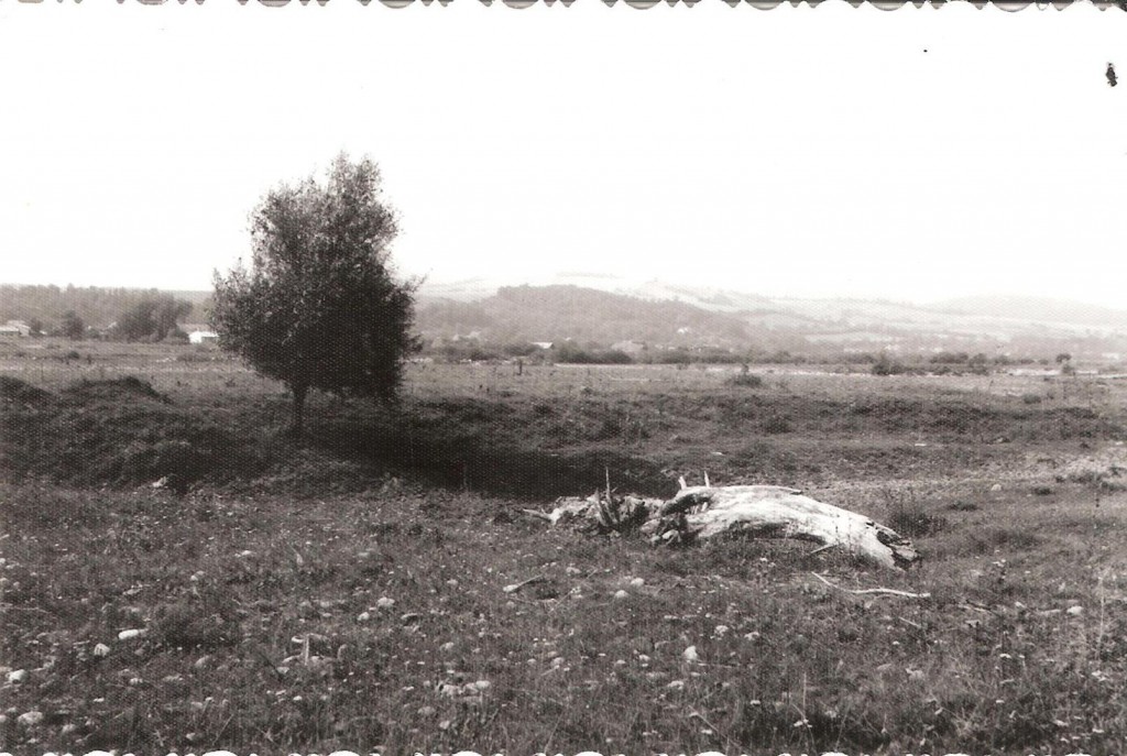 Nasledujúca povodeň 12,3,1981