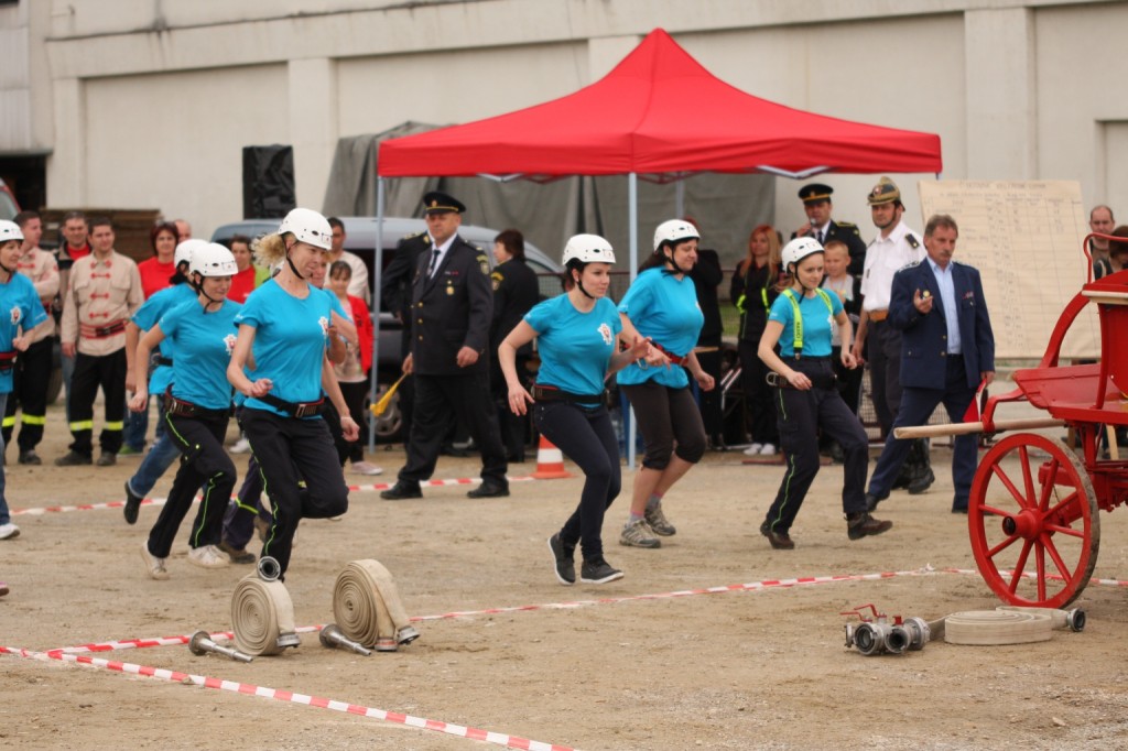 Fireco Trencin 2013 s DHZ Opatova (21)
