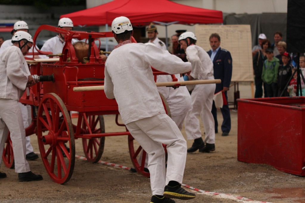Fireco Trencin 2013 s DHZ Opatova (7)