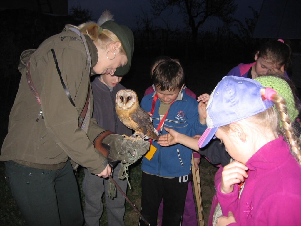 Noc s Andersenom 2014 (38)
