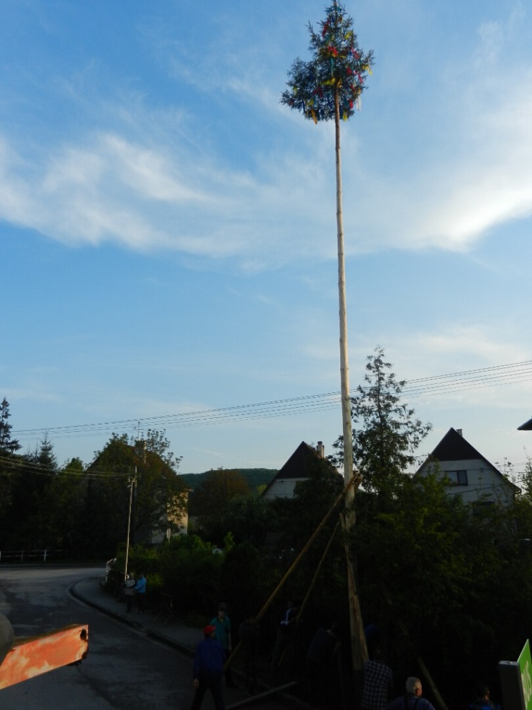 Stavanie maja 30.4.2014 foto A. Mihalova (11)
