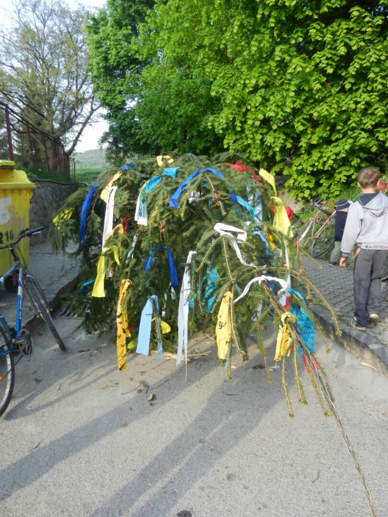 Stavanie maja 30.4.2014 foto A. Mihalova (5)