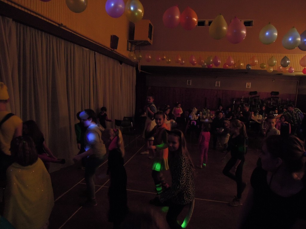 Karneval Erko 24.1.2015 D. H (19)