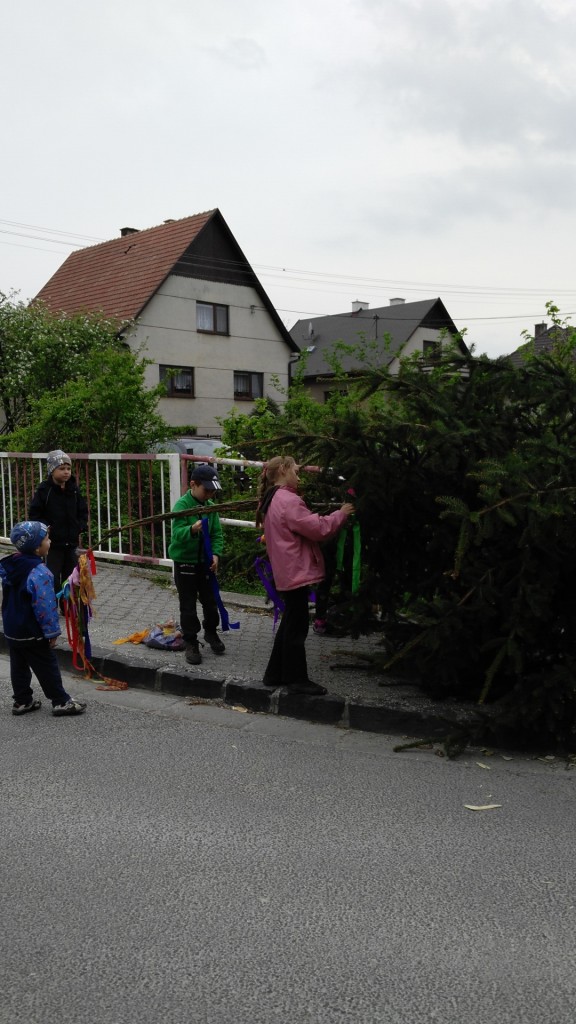 2Stavanie maja 30,4,2015 M.H (7)