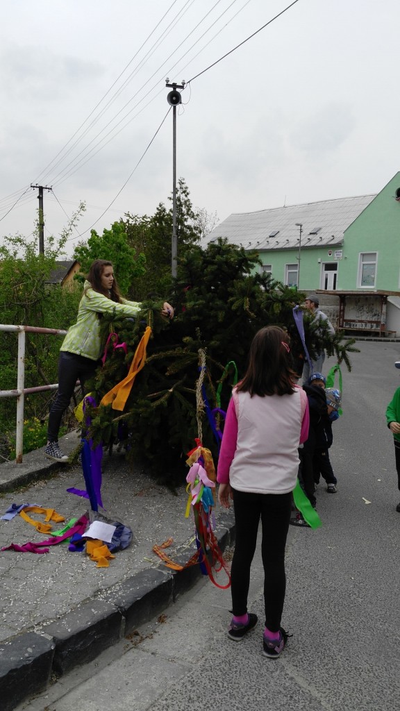 2Stavanie maja 30,4,2015 M.H (9)