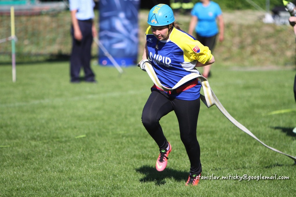 Sutaz DHZ 16,5,2015 Stanislav Miticky (11)