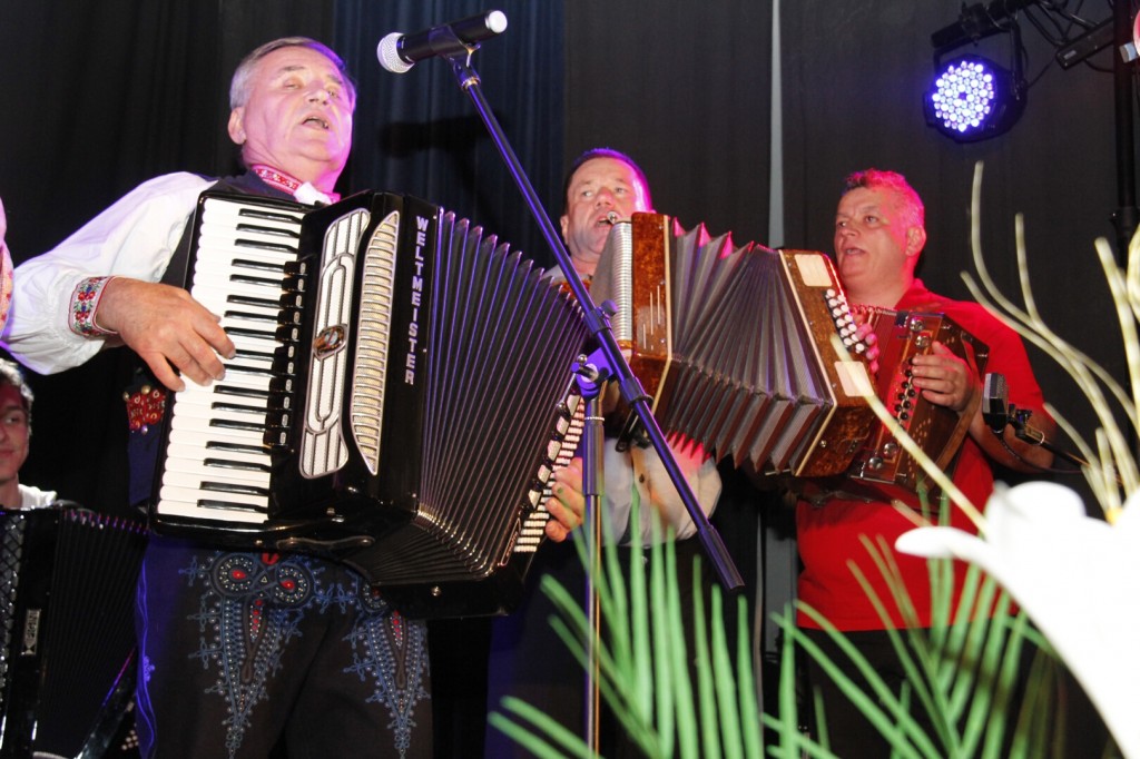 Opatovska harmonika 30.10.2015 J. K (37)