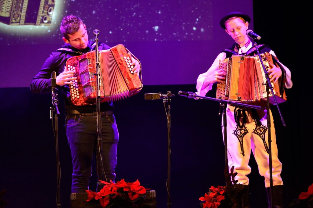 Opatovska harmonika 2 (31)