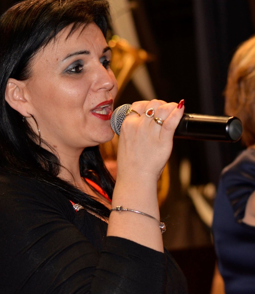 Stefanska zabava 26.12. 2015  (46)