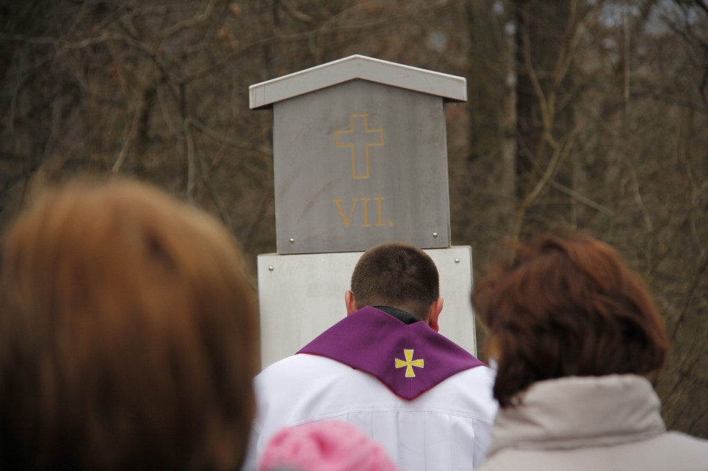 Far. kriz, cest. 14.2.2016 Skalka J.H (46)