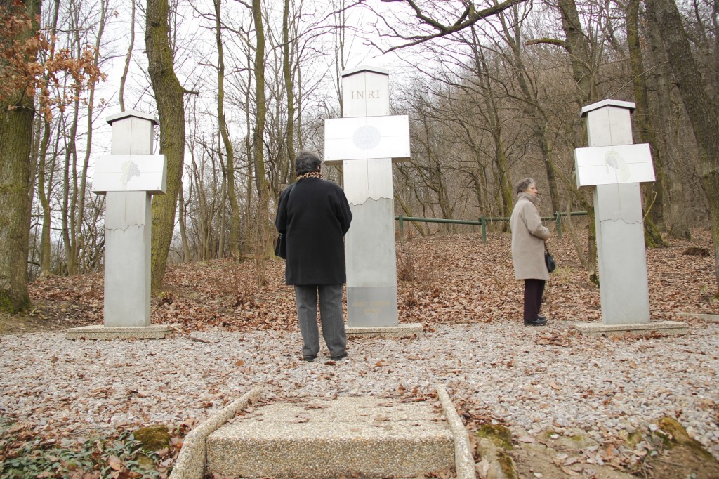 Far. kriz, cest. 14.2.2016 Skalka J.H (51)