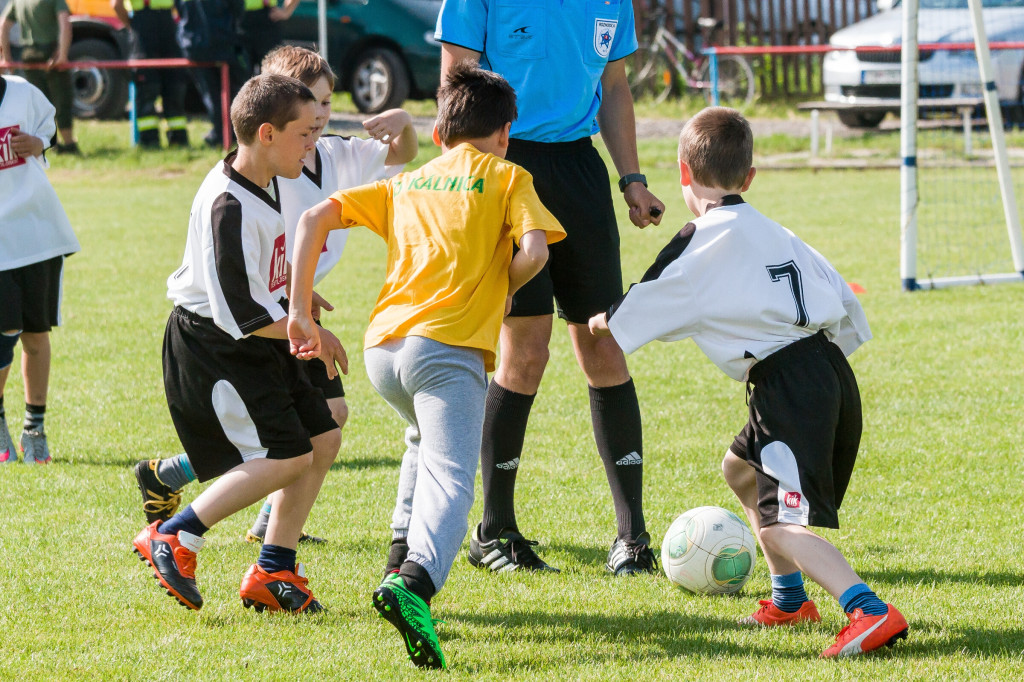 Olympiada malotriednych skol 2016 opatova 2016 (105)