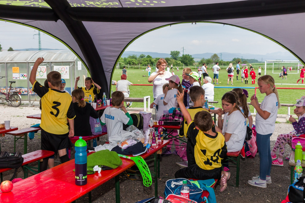 Olympiada malotriednych skol 2016 opatova 2016 (288)