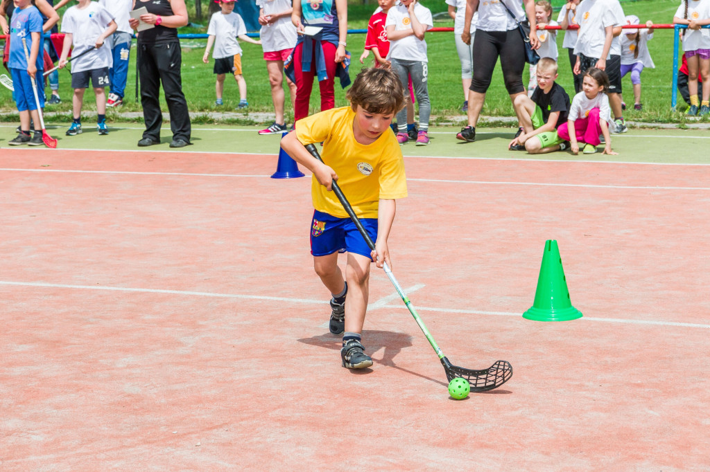 Olympiada malotriednych skol 2016 opatova 2016 (317)