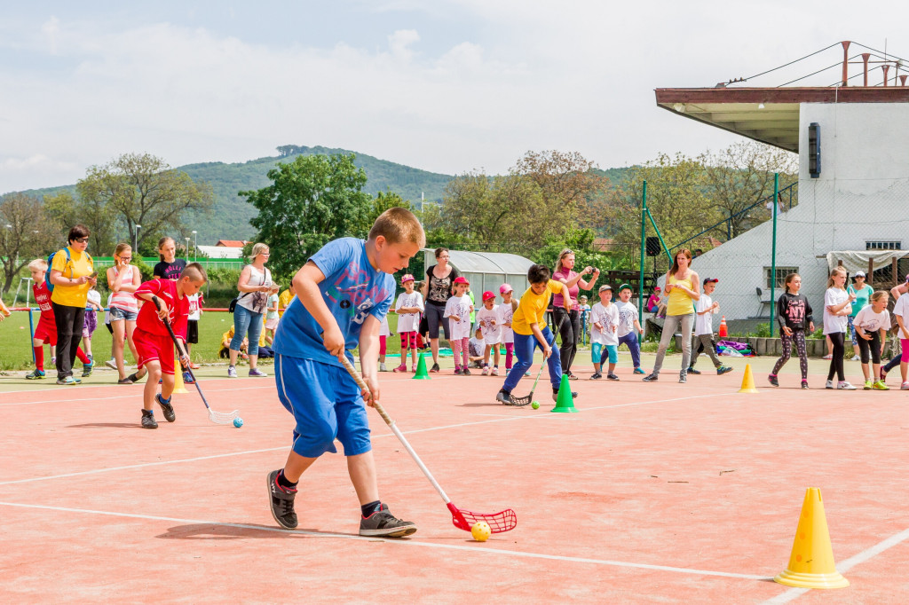 Olympiada malotriednych skol 2016 opatova 2016 (322)