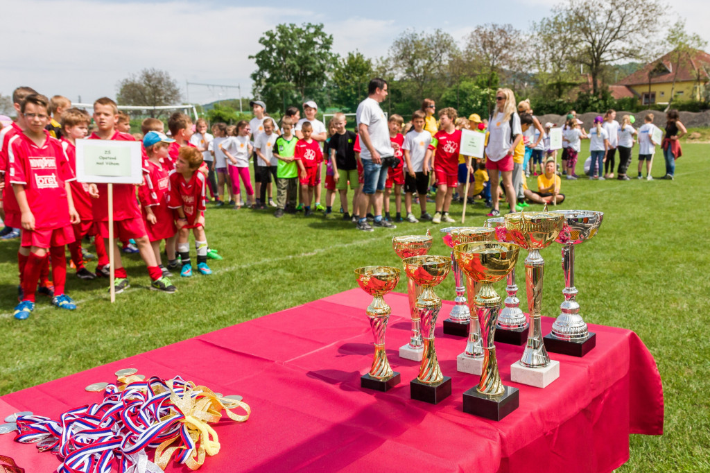 Olympiada malotriednych skol 2016 opatova 2016 (326)