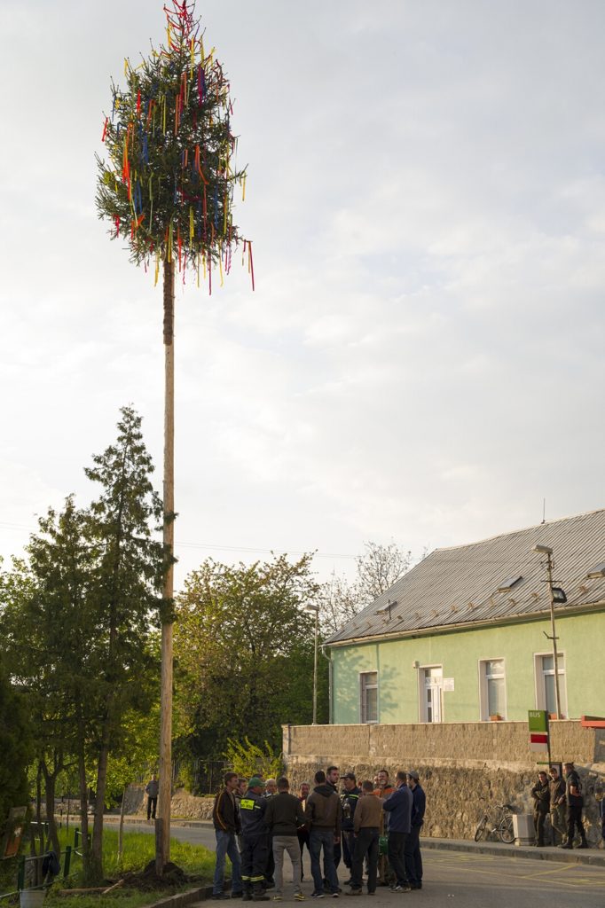 Stavanie maja 30. 4. 2017 D. R (41)